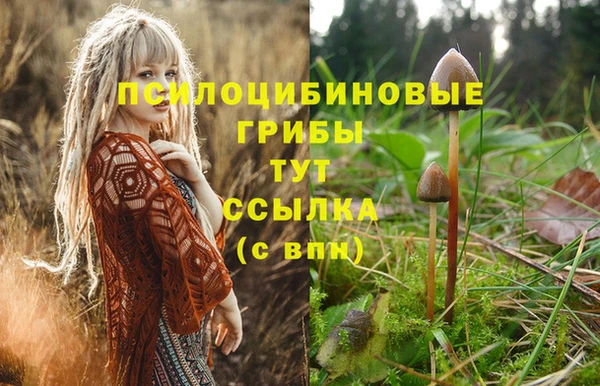 а пвп мука Вязьма