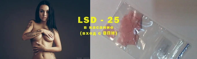 спиды Вязники
