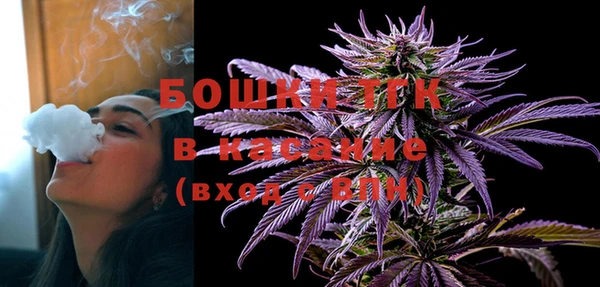 молекула духа Гусиноозёрск