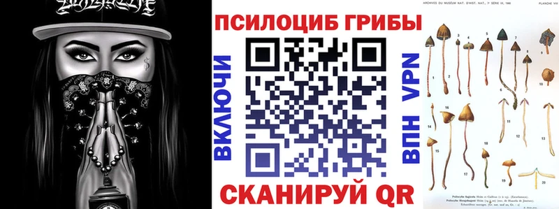Псилоцибиновые грибы мицелий  Купить где  Кондопога 
